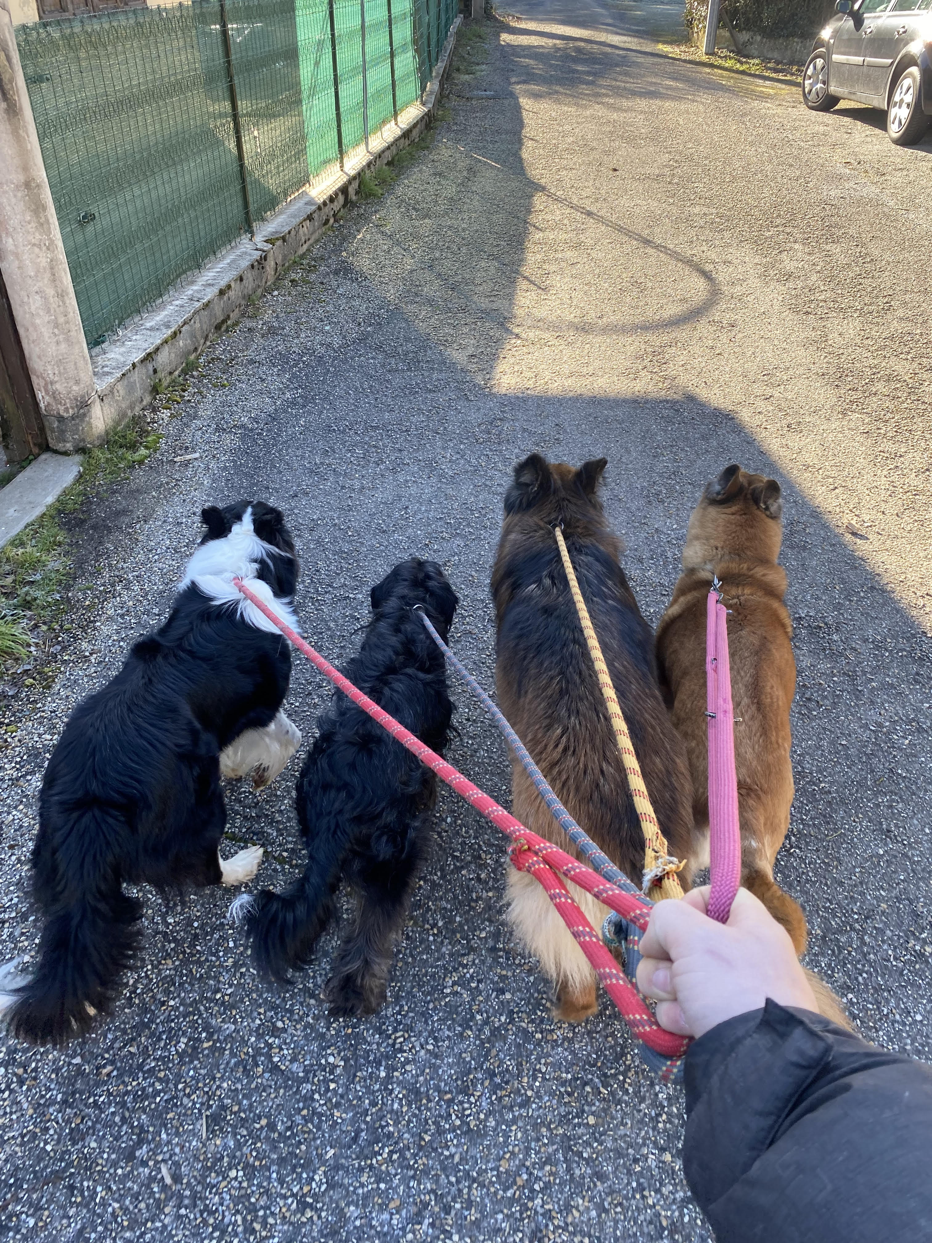 Balade accompagnée